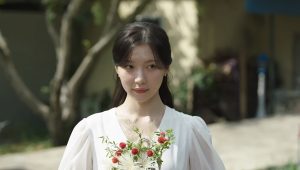 Ms. Incognito: 1×12