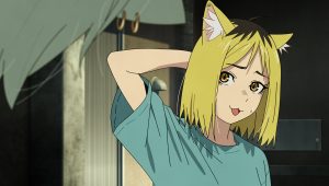 Chainsmoker Cat: 1×2