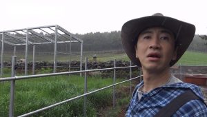 GBRB: Farm Operation – Go Go Farm: 1×6